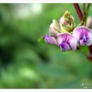 마음의 양식 이미지