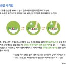 농약걱정 안하고 채소-과일 먹으려면 이렇게 씻어라 이미지