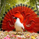 Top 10 Strangest Birds on Earth 🐦 | Unbelievably Beautiful Nature Sounds 이미지