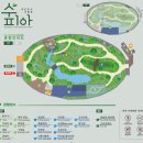 올리브원 | <부천나들이/부천식물원> 지난 봄 날의 상동호수공원 벚꽃 그리고 수피아 야간개장