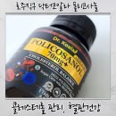 코알라 | 폴리코사놀 70mg 추천! 콜레스테롤 관리로 혈관건강 챙기는 데일리 루틴 닥터코알라 후기