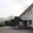 함평 기각리붉가시나무자생북한지 이미지