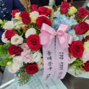 (동대문회) 이필형 구청장 차담회(2026.06.25) 이미지