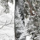 산바다