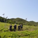 보안중학교 Daum카페