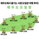 함덕오일시장 | [제주 동쪽] 시골 정취 가득한 함덕오일시장, 함덕오일시장 먹거리 정보
