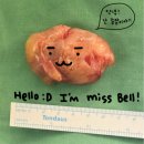 예손병원 | [신경초종 스토리] #6 신경초종 수술 결정부터 예손병원 입원 후기 (feat. 수부센터 백구현 원장님)