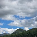 충북 고릴라캠핑인속리산 아이랑 캠핑카타고 캠핑다녀온 후기 내돈내산