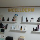 샵()사계절 이미지