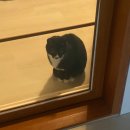 자다 앤 가다 | Not In Love...