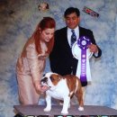 써클켄넬 이미지