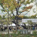 희현농장 | 농부시장 마르쉐 12주년 생일시장 다녀옴