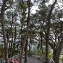 제강한의원 | 운동 및 다이어트 일지 11.5 일(감성순례 2일차)