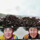 메인프라자1 | [공지] 신안 자은도 라마다프라자호텔 &amp; 씨원리조트 1박 40시간 패키지 숙박 후기｜가성비 일정·혜택...