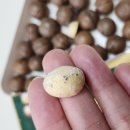 뽀블뽀블 이미지