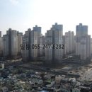 양덕동109 이미지