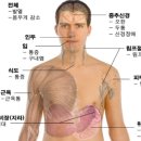 현내과의원 이미지