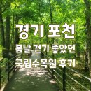 경기 ㅣ 포천 걷기 아주 좋았던 국립수목원 오전타임 다녀온 후기 및 주차 네이버 예약정보