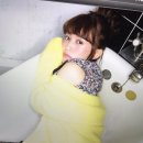 애니미디어 이미지