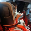 다이치 브이가드 시즌2 프리미엄 토들러 유아동 카시트 ISOFIX 이미지