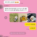 도그모루 애견유치원 이미지