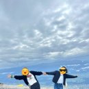 안나하우스 이미지