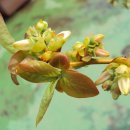 (주)이소 이미지