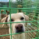 기자농장 이미지