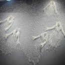 화인공예 | 서울 공예박물관 금기숙 기증 특별전 후기