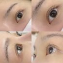 DAY U | [ 화성속눈썹전문 데이나래쉬 ] 남양속눈썹펌 화성시청속눈썹 자연스러운 U컬에 너무 만족한 후기