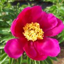 늘푸른소리 농장 이미지