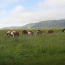 아름다운 민박 이미지