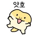 파충류샵 스마일게코 이미지