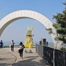 안지랑어린이공원 수 이미지