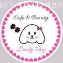 러블리독 애견카페 이미지