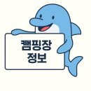 내촌천 | 홍천 달콤한 캠핑장｜장점과 아쉬운 점 솔직 리뷰