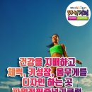뿜뿜점핑다이어트클럽 네이버블로그