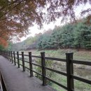 병점2동행정복지센터 2층 취미교실 | 취사가능한공원 피크닉시민공원 총정리 주차 입장료 무료 고양 서울근교 무료 주말나들이 단풍절정 일산...