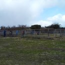 상명목장 이미지