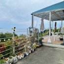 우리바다 | 오키나와 코우리섬 카페 t&amp;c toraku｜코우리대교 바다뷰 테라스 카페 후기