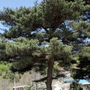 천주휴게소 이미지