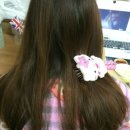 룩판타스틱 직구 후기! 탱글티저 후기 빗의 신세계♡♡♡♡