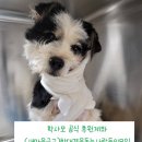 장근농장 이미지