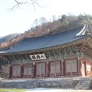 하동횟집 이미지