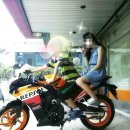 몹쓸취미 cbr250[메뉴얼입문]혼다cbr250랩솔