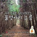 힐링산책코스 | 제주 조용한 힐링 산책코스:: 물영아리 오름 다녀온 후기