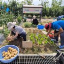 도시농업전문가 과정 이미지