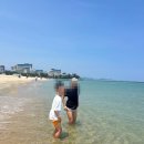 추암 일번지 펜션 이미지