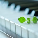 이플음악학원 이미지