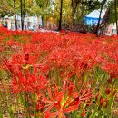 활천공원 이미지